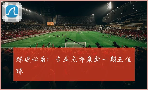 球迷必看：专业点评最新一期五佳球
