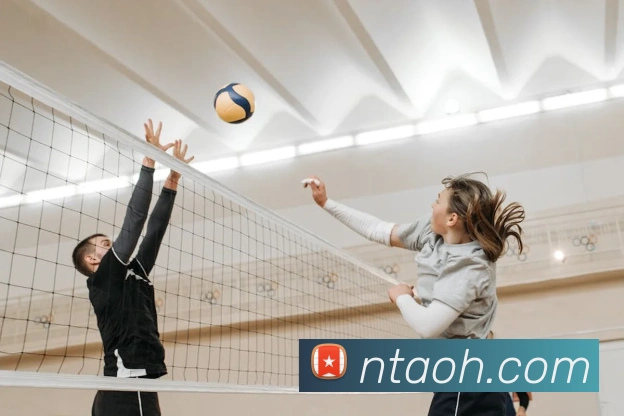 电竞数据